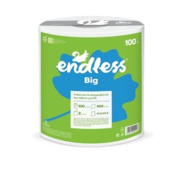 KITCHEN ROLL PAPER 100M | ΕΞ-ΑΝ